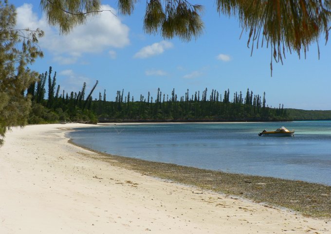 86- Plage de la baie d'Oro 